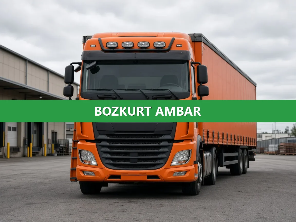 Bozkurt Ambar