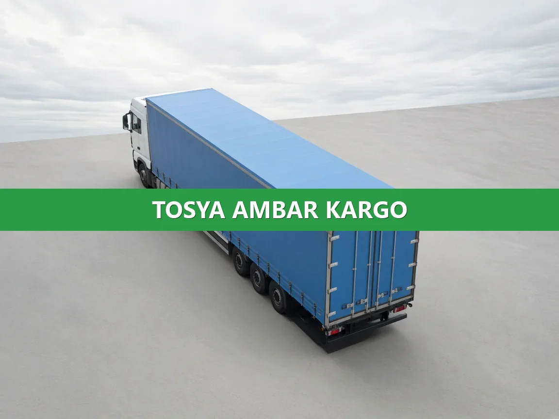 Tosya Ambar Kargo